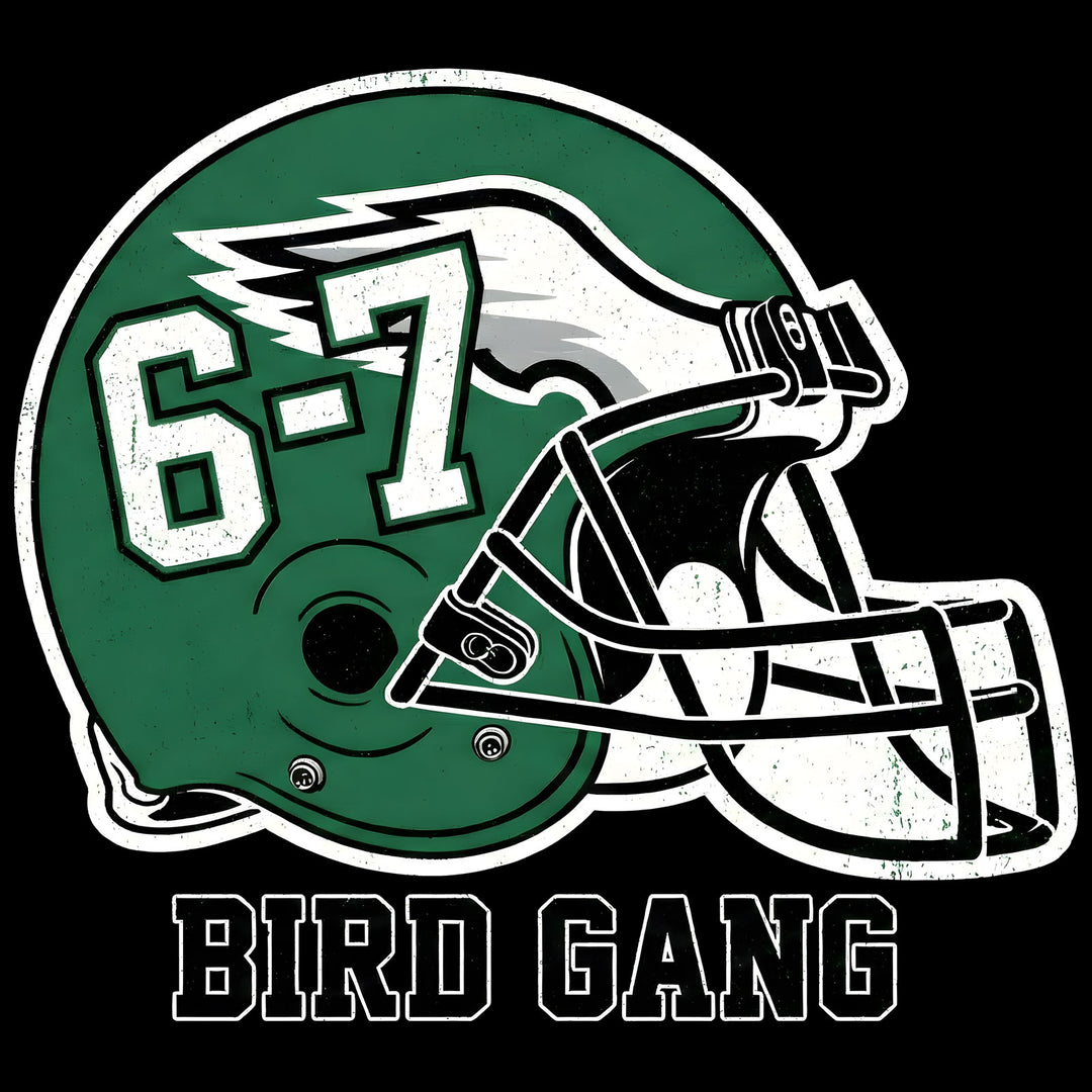 Bird Gang 6-7 Helmet – Premium DTF Transfer