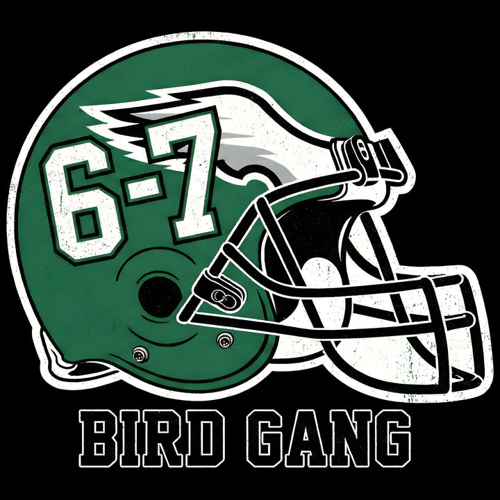 Bird Gang 6-7 Helmet – Premium DTF Transfer